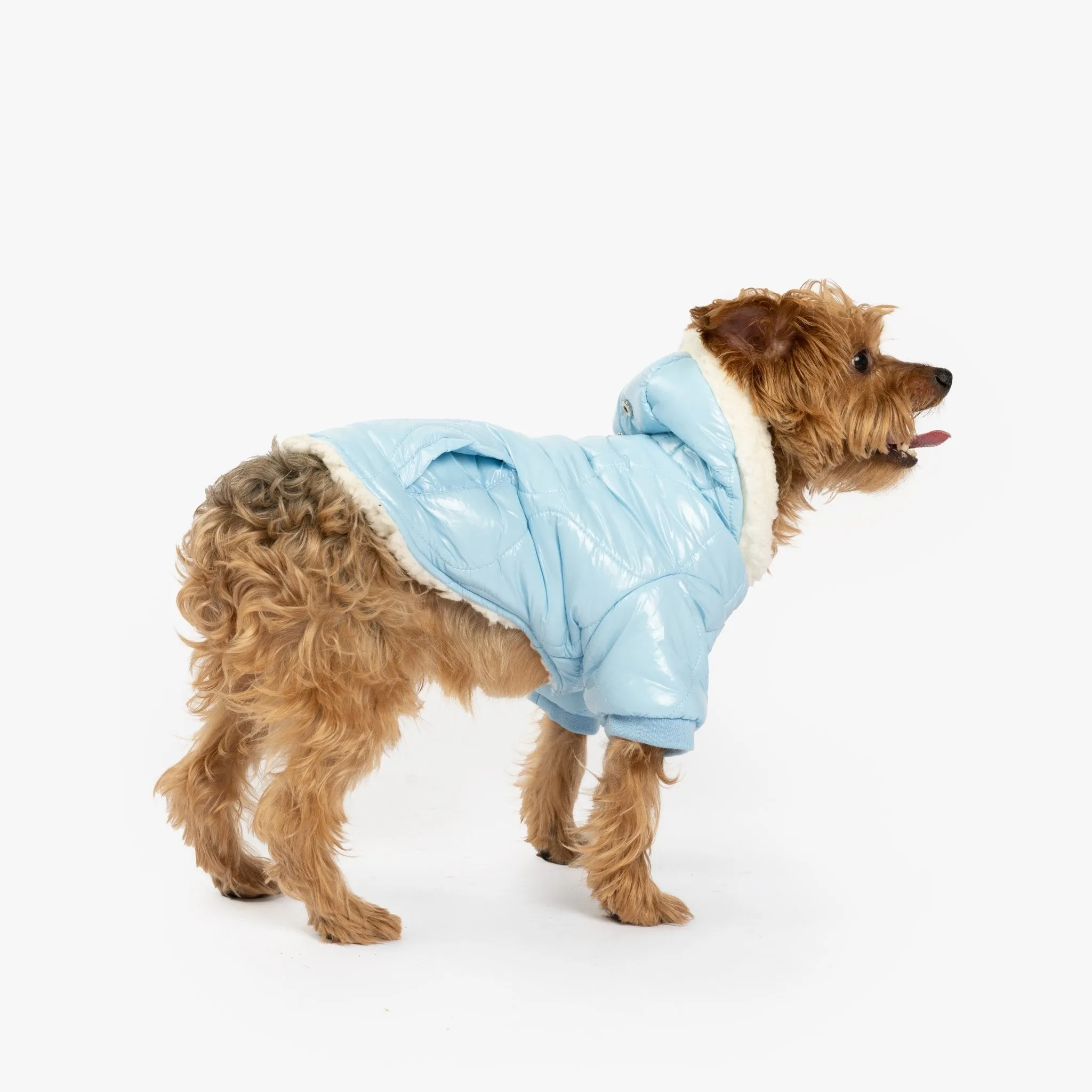 🧥 Aspen Dog Jacket – Lightweight Quilted Puffer with Sherpa Lining & Poop Bag Dispenser
