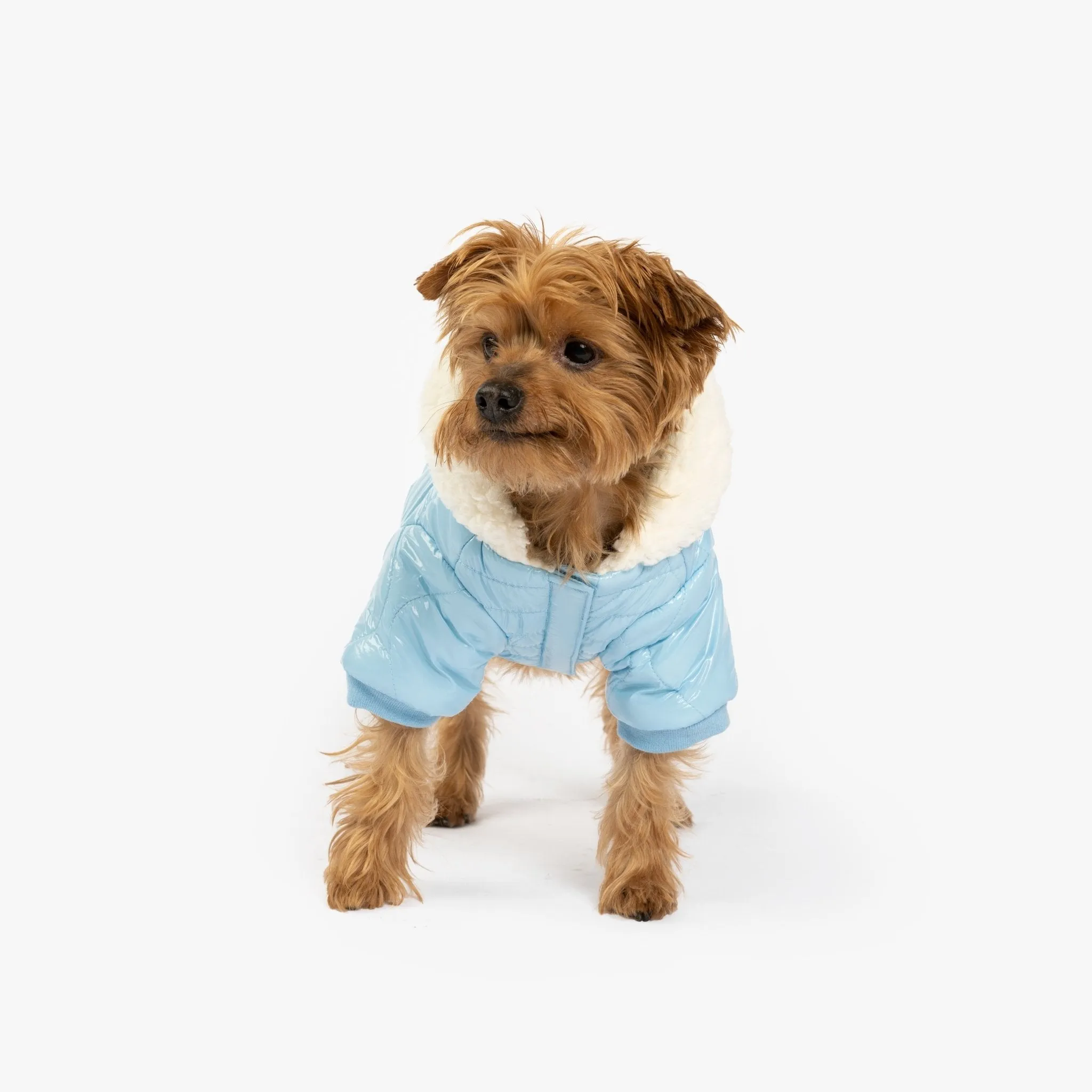 🧥 Aspen Dog Jacket – Lightweight Quilted Puffer with Sherpa Lining & Poop Bag Dispenser