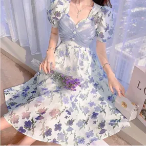 Happy Date Daydreams  Dress Kawaii Academia Y2K Cottagecore Coquette Fairycore Dollette Princesscore