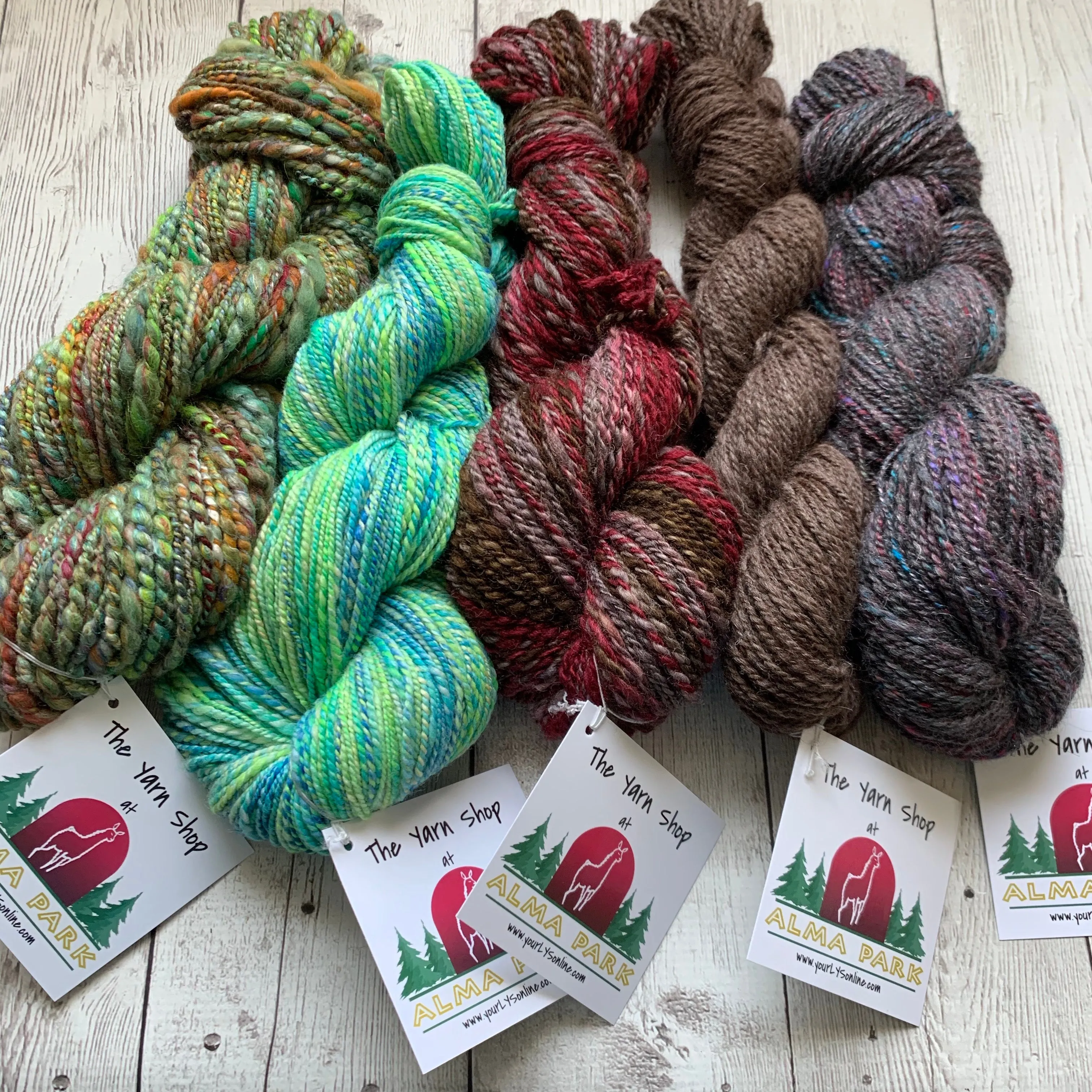 Virtual Adoption - Adopt-a-paca™ - SEBASTIAN (Superfine Fiber)  - Medium Fawn