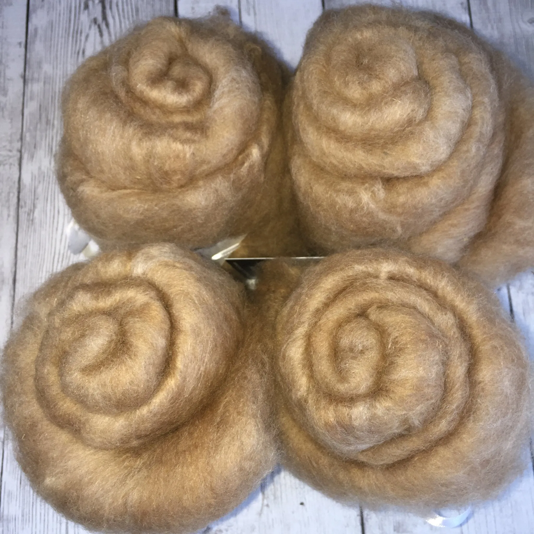 Virtual Adoption - Adopt-a-paca™ - SEBASTIAN (Superfine Fiber)  - Medium Fawn
