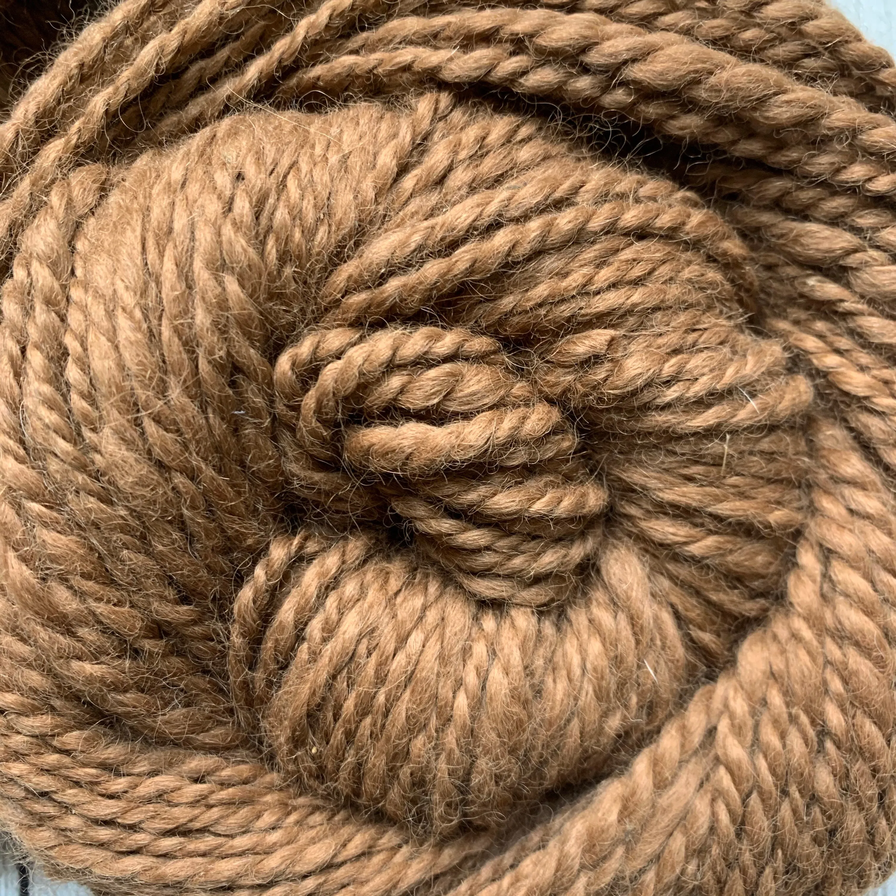 Virtual Adoption - Adopt-a-paca™ - SEBASTIAN (Superfine Fiber)  - Medium Fawn